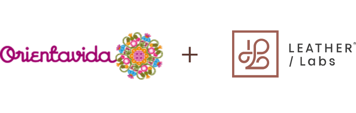 Logo orienta vida