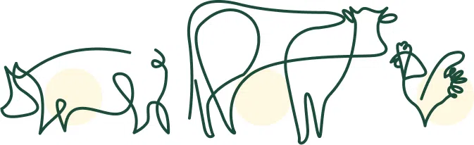 Imagem bem estar animal